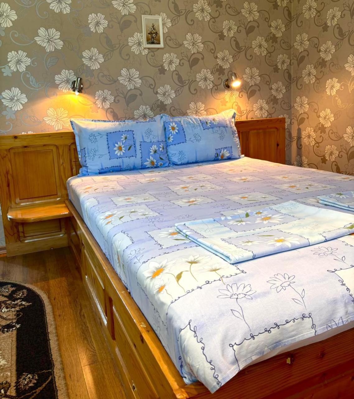 The House Of Petar Levski Berkovica Kültér fotó